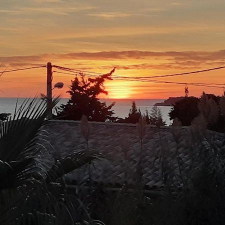 Appartement Terrasse Vue Mer, Plage Gorguette A 1 Minute A Pied, Wifi,Clim Parking Collectif ساناري سور مير المظهر الخارجي الصورة