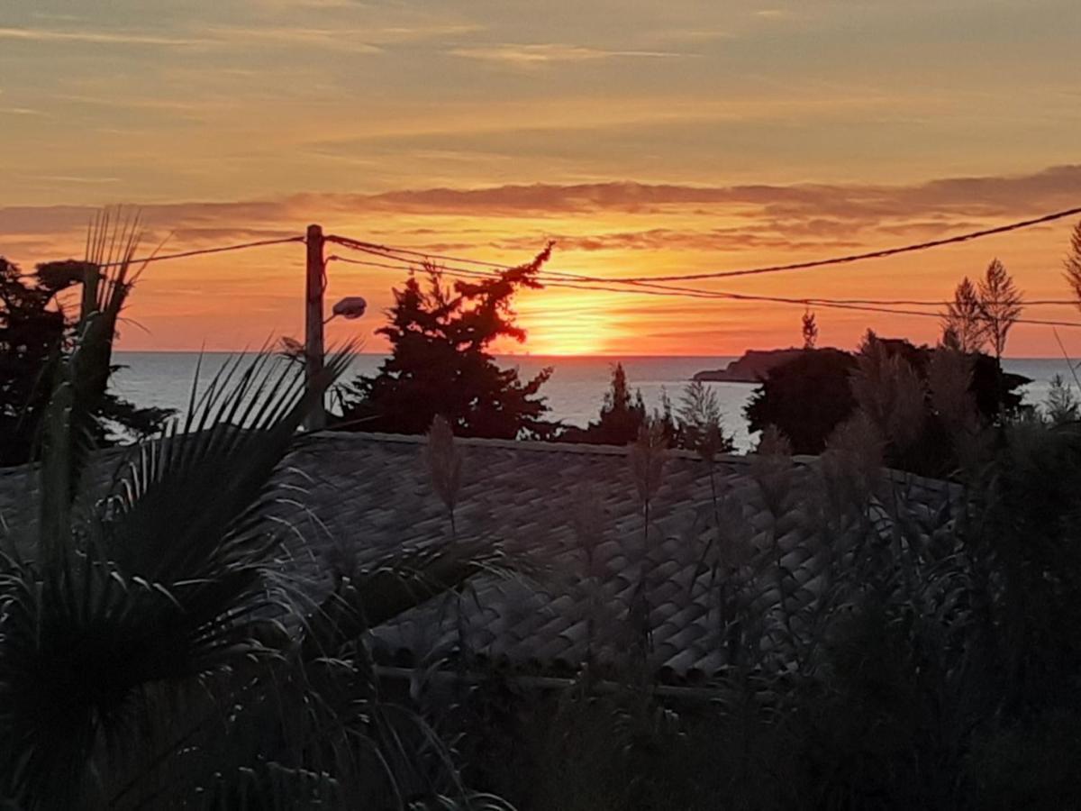 Appartement Terrasse Vue Mer, Plage Gorguette A 1 Minute A Pied, Wifi,Clim Parking Collectif ساناري سور مير المظهر الخارجي الصورة